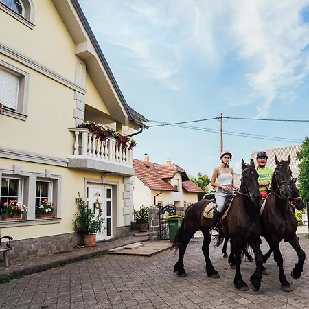 Sneznik * Stari Trg pri Lozu