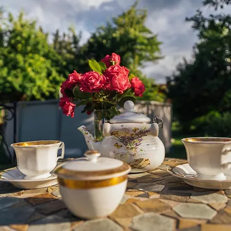 Sneznik Stari Trg pri Lozu