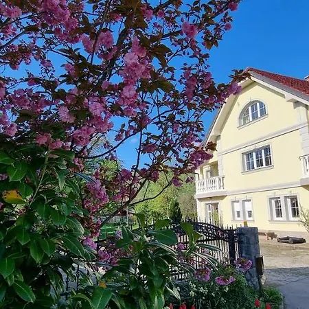 Privat bolig Sneznik