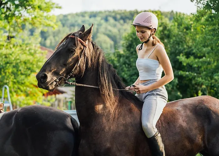 Sneznik Stari Trg pri Lozu