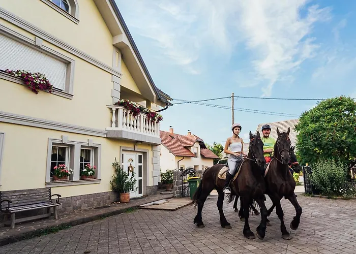 Sneznik * Stari Trg pri Lozu