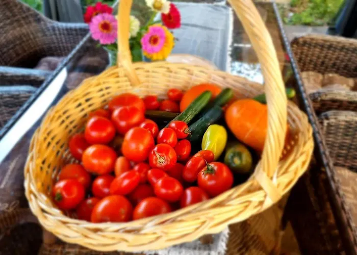 Privat bolig Sneznik