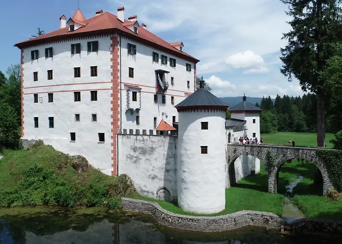 Sneznik Privat bolig Stari Trg pri Lozu