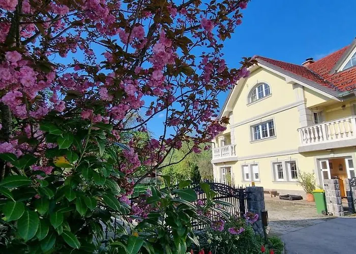 Privat bolig Sneznik