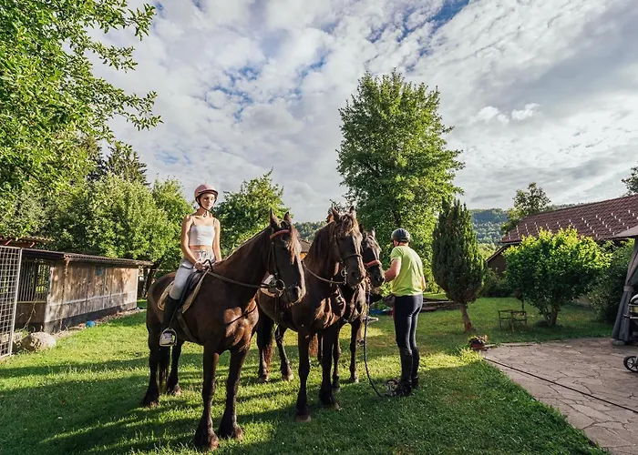 Sneznik Stari Trg pri Lozu